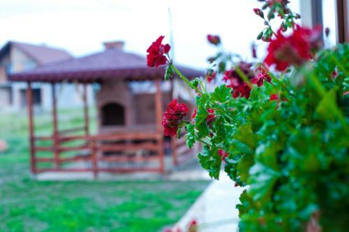 Hostal Pensiunea Nobila