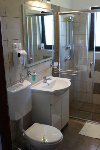 Hostal Pensiunea Nobila