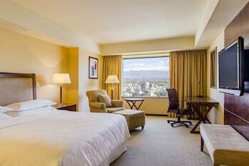 Hotel Sheraton Mendoza