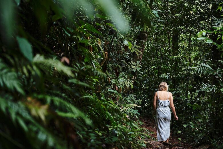 Hotel Daintree Eco Lodge & Spa