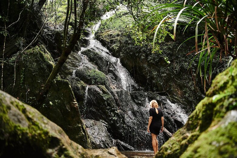 Hotel Daintree Eco Lodge & Spa