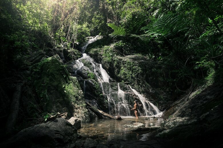 Hotel Daintree Eco Lodge & Spa