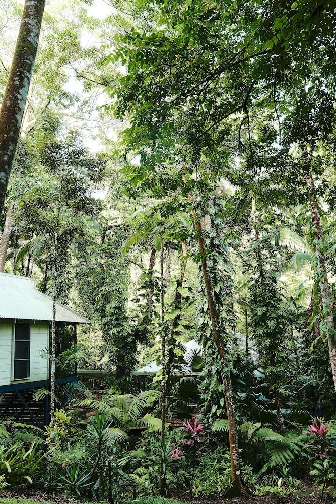 Hotel Daintree Eco Lodge & Spa