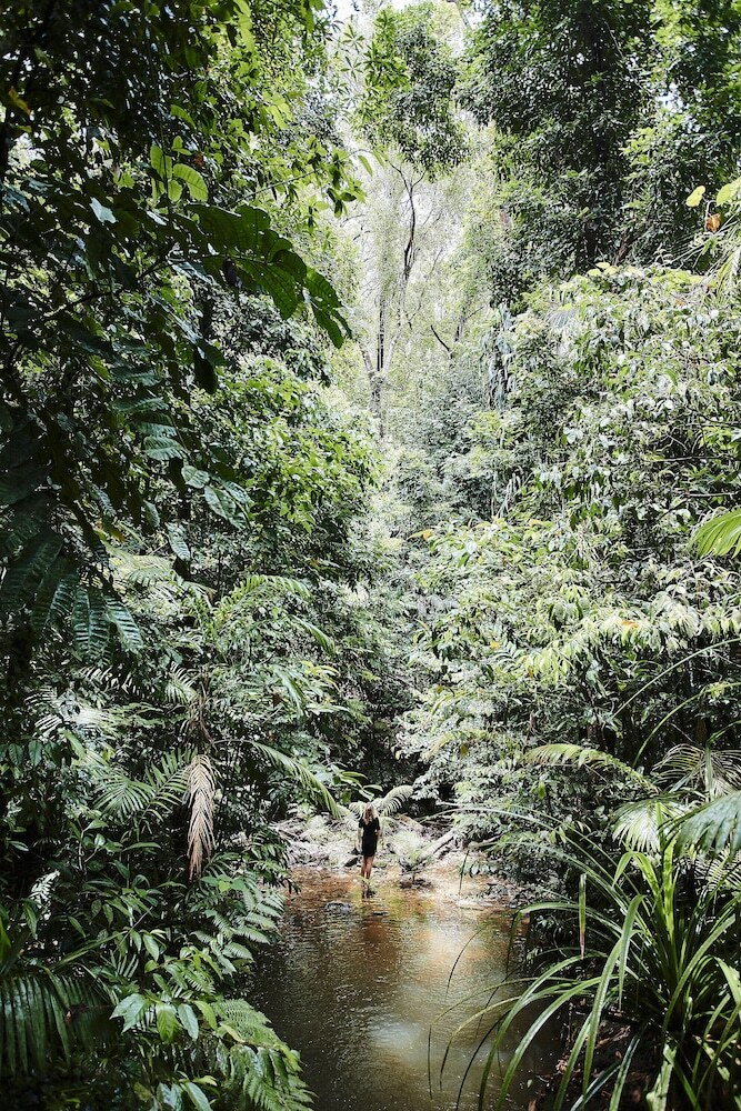 Hotel Daintree Eco Lodge & Spa