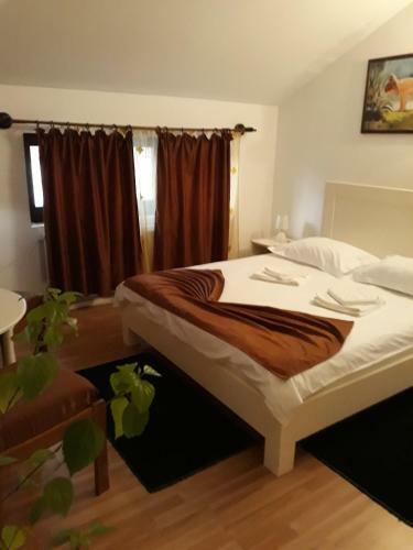 Hostal Casa Craiova Nuova