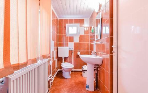 Hostal Pensiunea Gaby