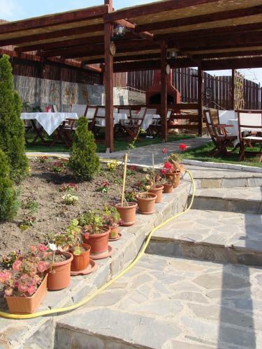 Hotel Pensiunea Taverna Bucium