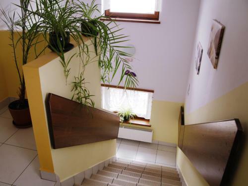 Hostal Willa Urocza