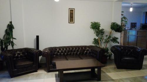 Hostal Pensiunea Balan