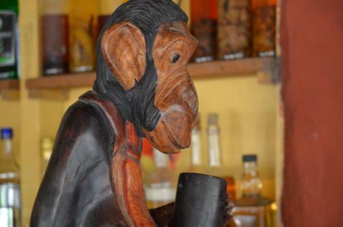 Le Bonobo Lodge