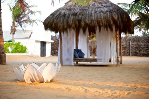 Hotel Dolphin Beach Alankuda