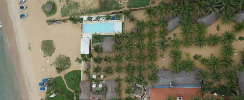 Hotel Dolphin Beach Alankuda