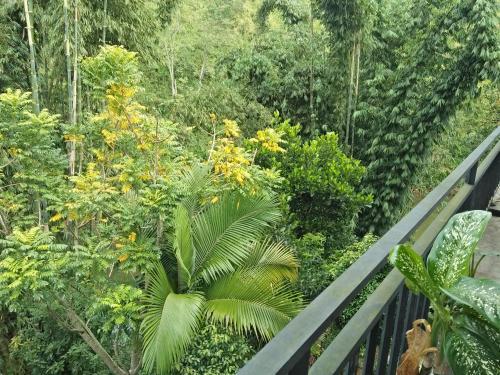 Hostal River Side Guest House & Travels