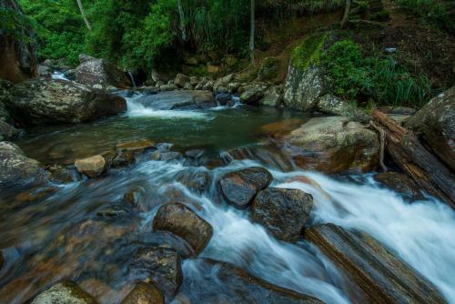 Ramboda Falls Hotel