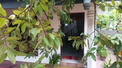 Bed & Breakfast Kavirose Holiday Home