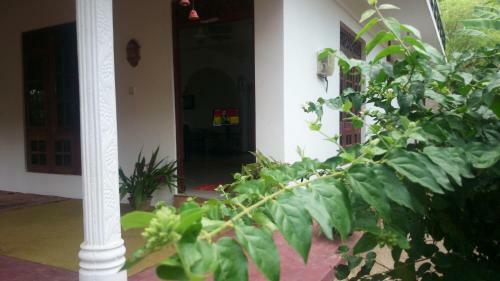 Bed & Breakfast Kavirose Holiday Home