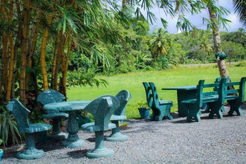 Hotel Paddy Field View Resort