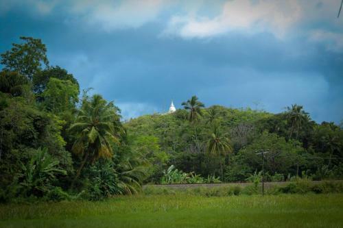 Hotel Paddy Field View Resort