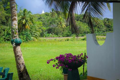 Hotel Paddy Field View Resort