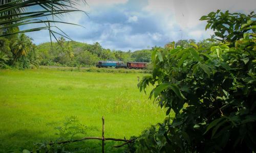 Hotel Paddy Field View Resort