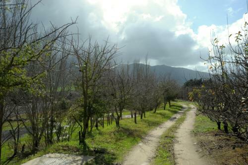 Agroturismo Champagne Cottage
