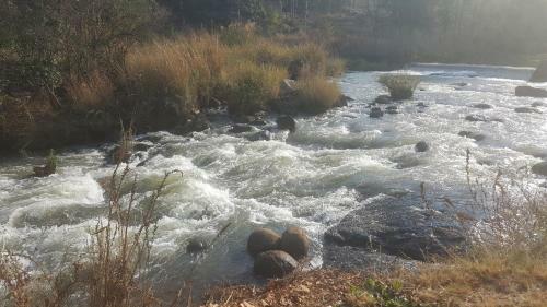 Lodge Clydesdale On Lions River