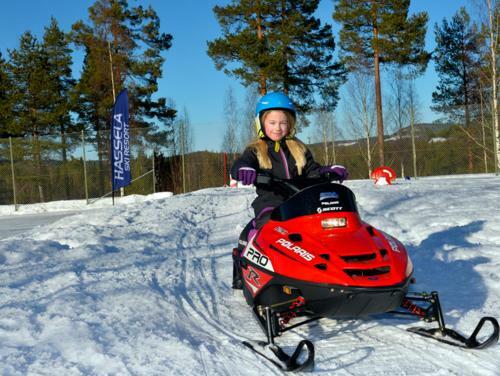 Hotel Hassela Ski Resort