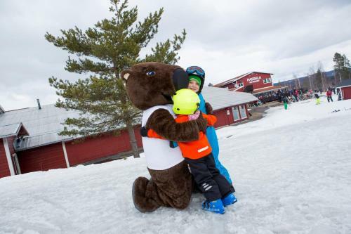 Hotel Hassela Ski Resort