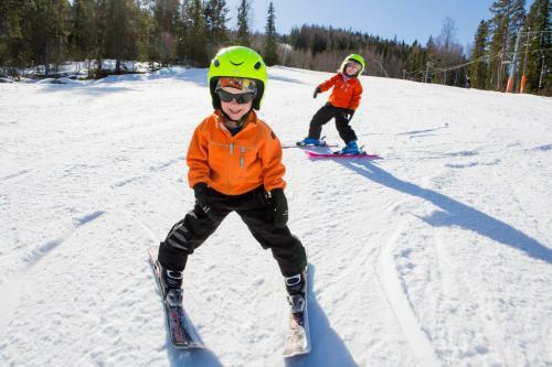 Hotel Hassela Ski Resort