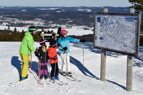 Hotel Hassela Ski Resort