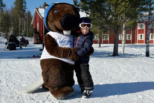 Hotel Hassela Ski Resort