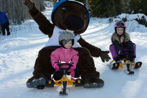 Hotel Hassela Ski Resort