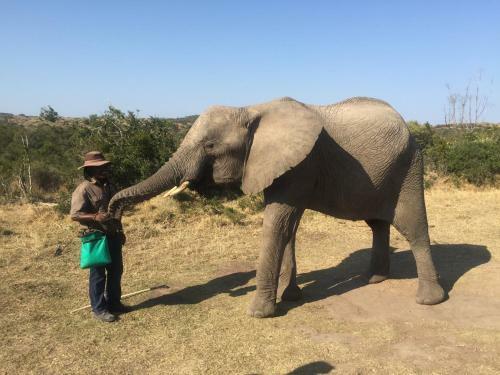 African Crags Eco-lodge