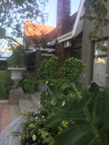 Hostal Villa Brocant Guest House