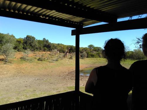 Aloe And Elephant Lodge