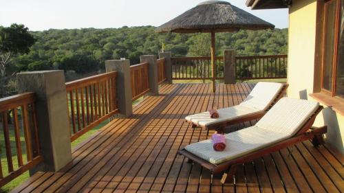 Aloe And Elephant Lodge