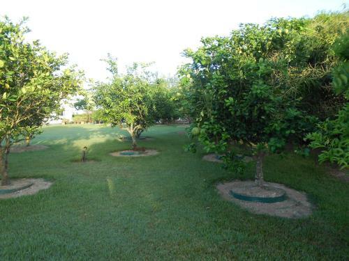 Apartamento Palm Village 134