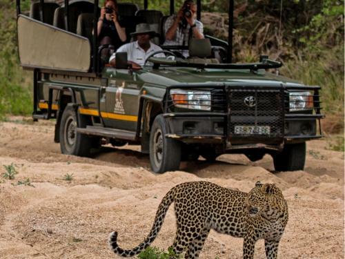 Jock Safari Lodge