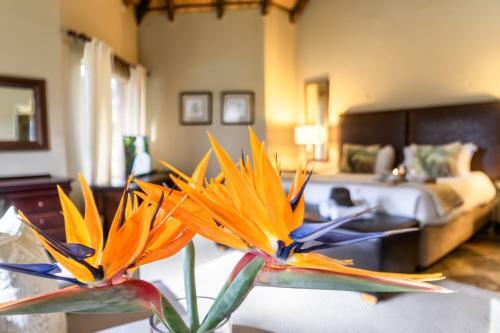 Re A Lora Lodge