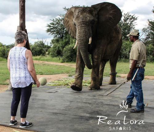 Re A Lora Lodge