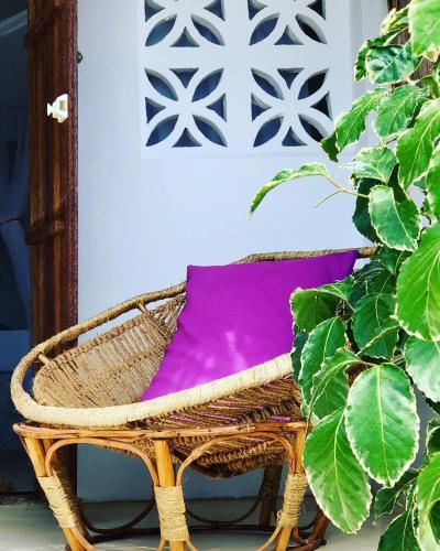 Hostal Zanzistar Guesthouse & Restaurant