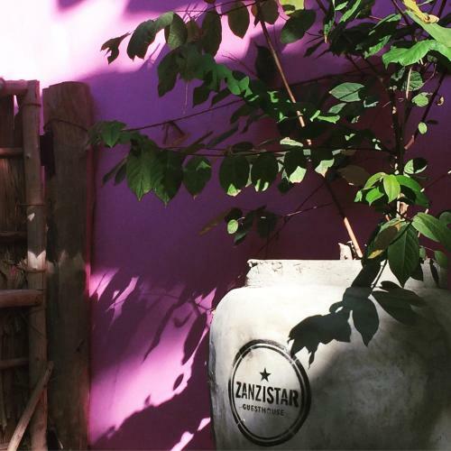 Hostal Zanzistar Guesthouse & Restaurant
