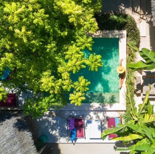 Hostal Zanzistar Guesthouse & Restaurant