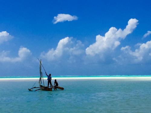 Hostal Zanzistar Guesthouse & Restaurant