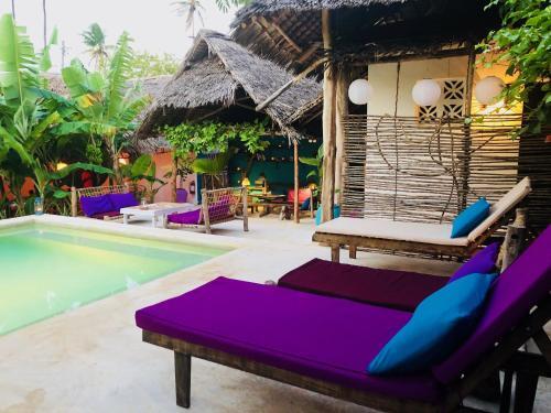 Hostal Zanzistar Guesthouse & Restaurant