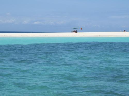 Hostal Zanzistar Guesthouse & Restaurant