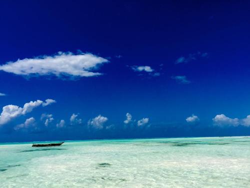 Hostal Zanzistar Guesthouse & Restaurant