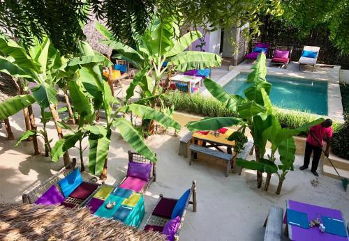 Hostal Zanzistar Guesthouse & Restaurant