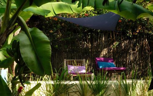 Hostal Zanzistar Guesthouse & Restaurant