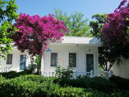 Blue & White Hotel